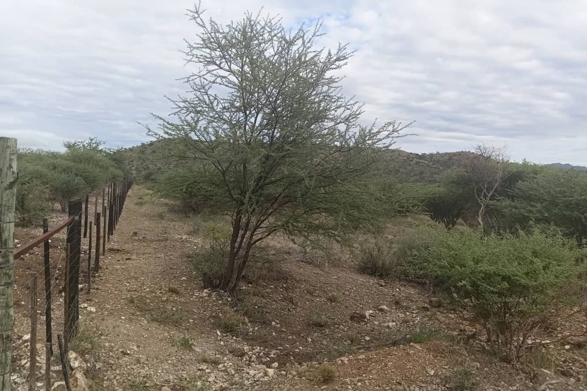 5 HECTARES FARM STYLE PLOT FOR SALE- FARM NARUXHAS - Photo 2