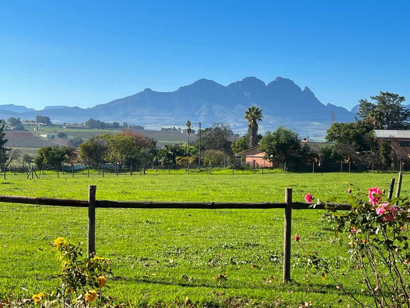 Rural charm meets opportunity - Photo 6