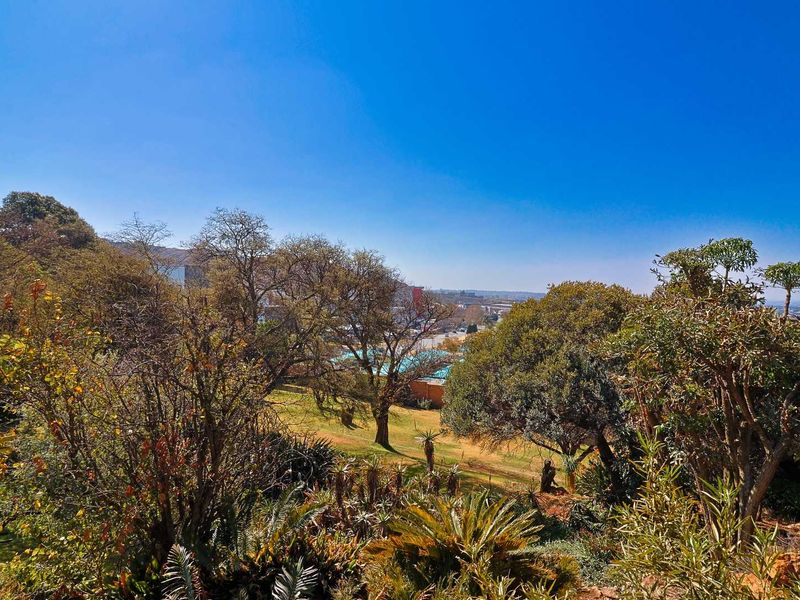 4-Bedroom Home on a 5 949m2 Stand in Constantia Kloof - Photo 6