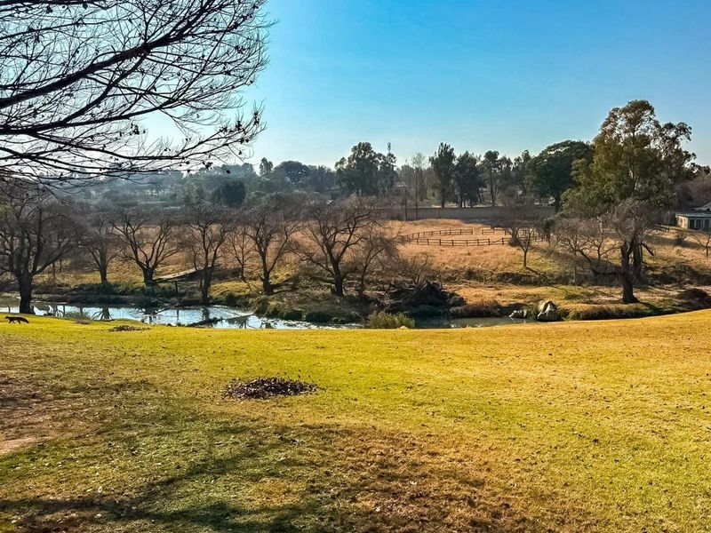A scenic view of a natural landscape featuring a grassy meadow, a small stream, and mature trees under a clear blue sky.