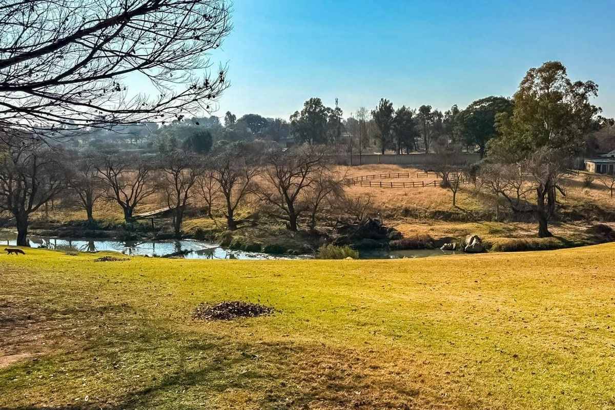 A scenic view of a natural landscape featuring a grassy meadow, a small stream, and mature trees under a clear blue sky.