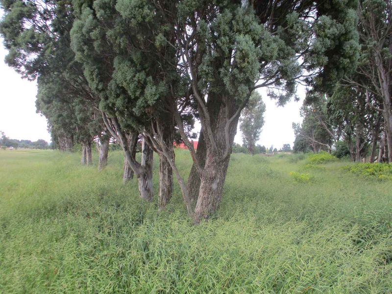 VACANT LAND IN HENLEY - Photo 2