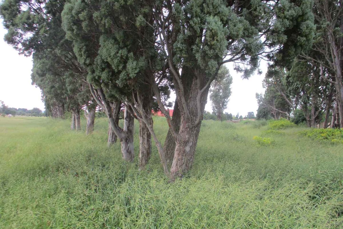 VACANT LAND IN HENLEY - Photo 2