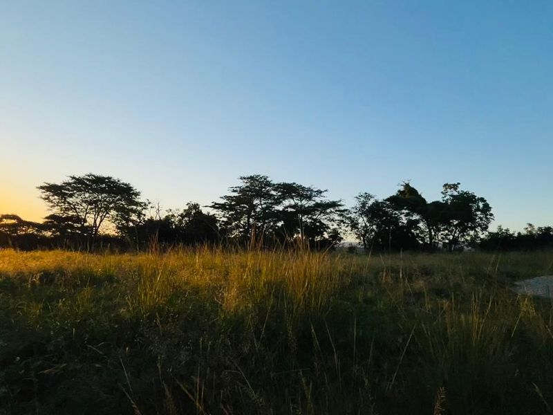 Rare 51ha Farm Jewel: A Versatile Opportunity with Prime Main Road Frontage - Photo 3