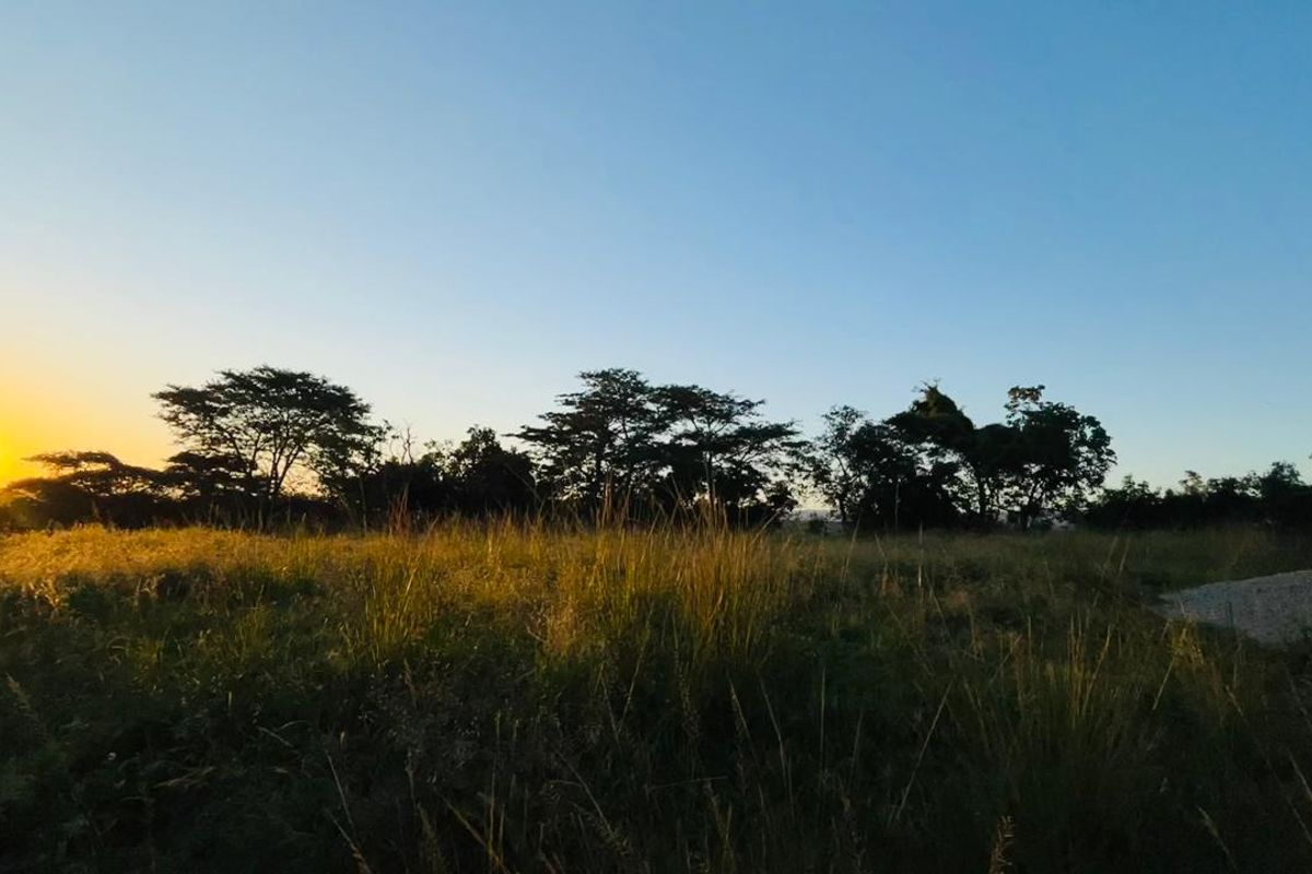 Rare 51ha Farm Jewel: A Versatile Opportunity with Prime Main Road Frontage - Photo 3