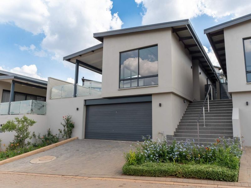 Elevated, Effortless, and Almost Gone - Photo 3