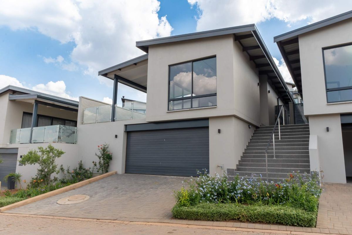 Elevated, Effortless, and Almost Gone - Photo 3