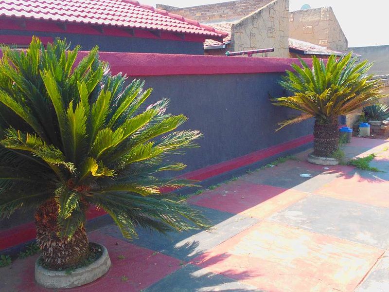 A rear exterior view showing a paved courtyard area with a boundary wall and tiled roof structure.