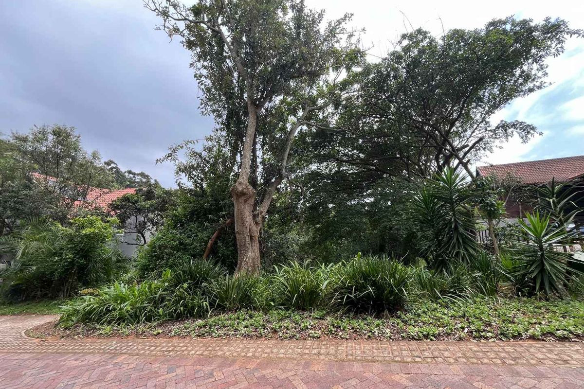 Vacant Land for Sale in Zimbali – 1,252sqm of Prime Coastal Living - Photo 2