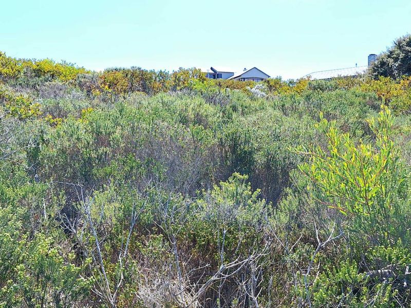 980m2 Vacant Land in Village on Sea Estate - Photo 3