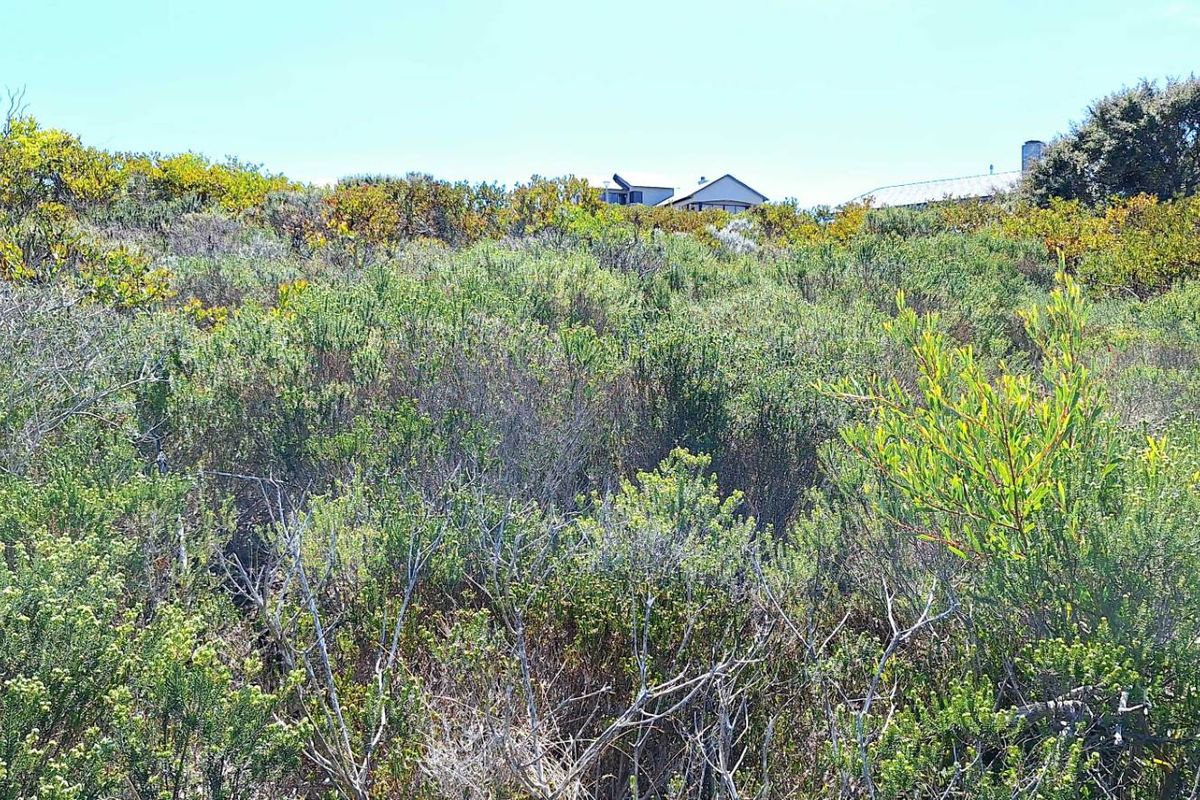 980m2 Vacant Land in Village on Sea Estate - Photo 3