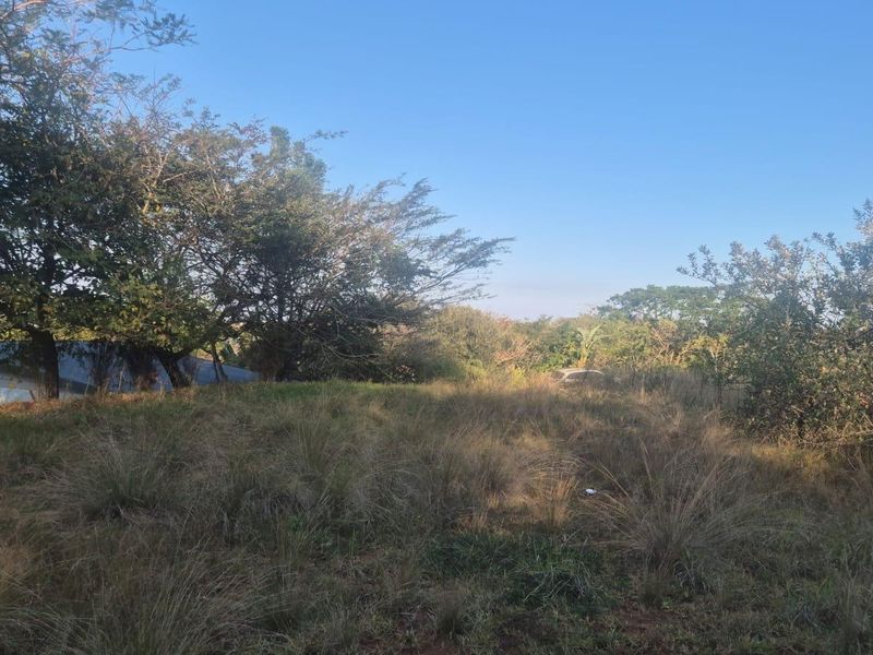 A view of a vacant residential plot featuring natural grass and mature trees, offering a blank canvas for future development.