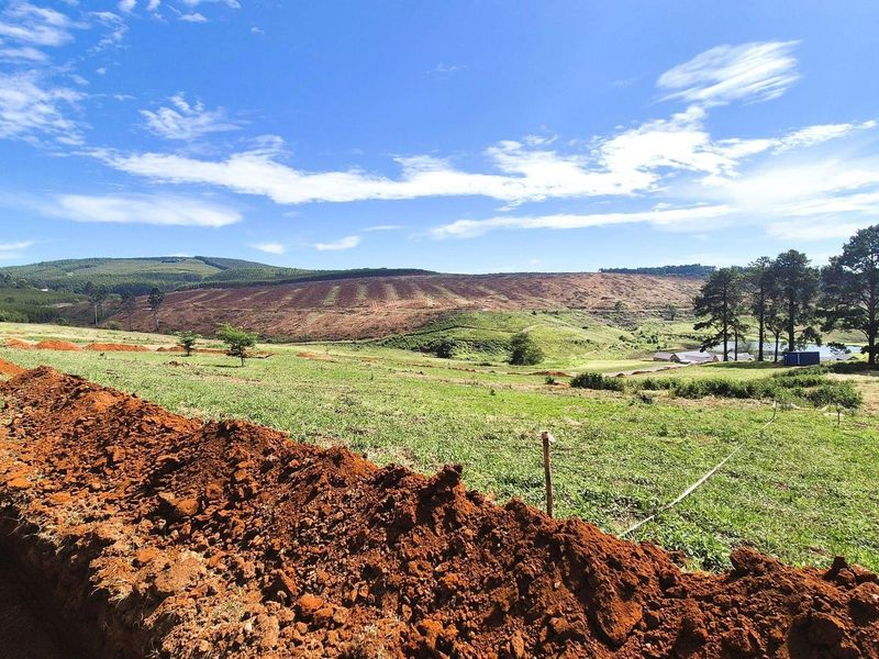 Design Your Dream Home in The Pinelands, St Johns Village, Howick - Photo 2