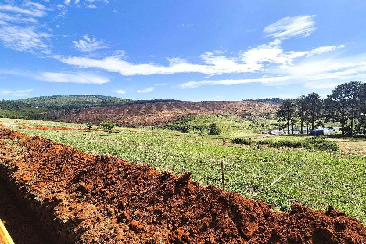 Design Your Dream Home in The Pinelands, St Johns Village, Howick - Photo 2