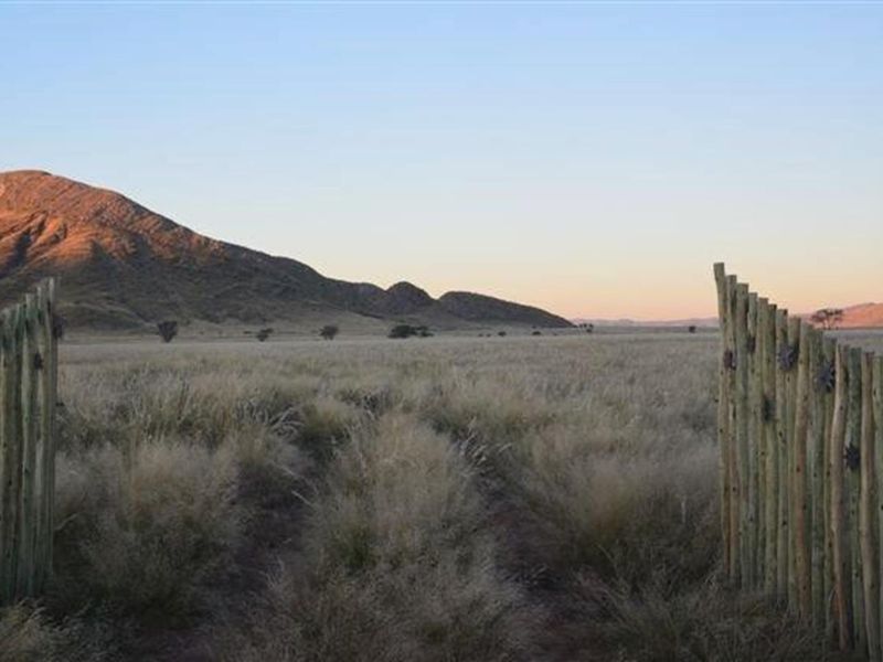 Farm close to Solitaire - Photo 4
