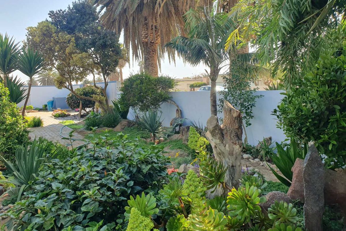 Here is a 520m2 spacious living house on a 1,056m2 erf. - Photo 4