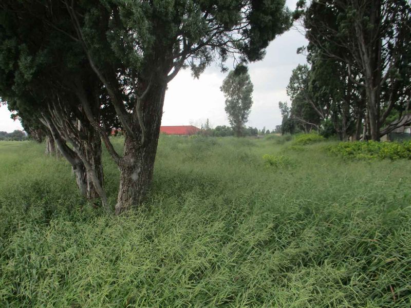 VACANT LAND IN HENLEY - Photo 4
