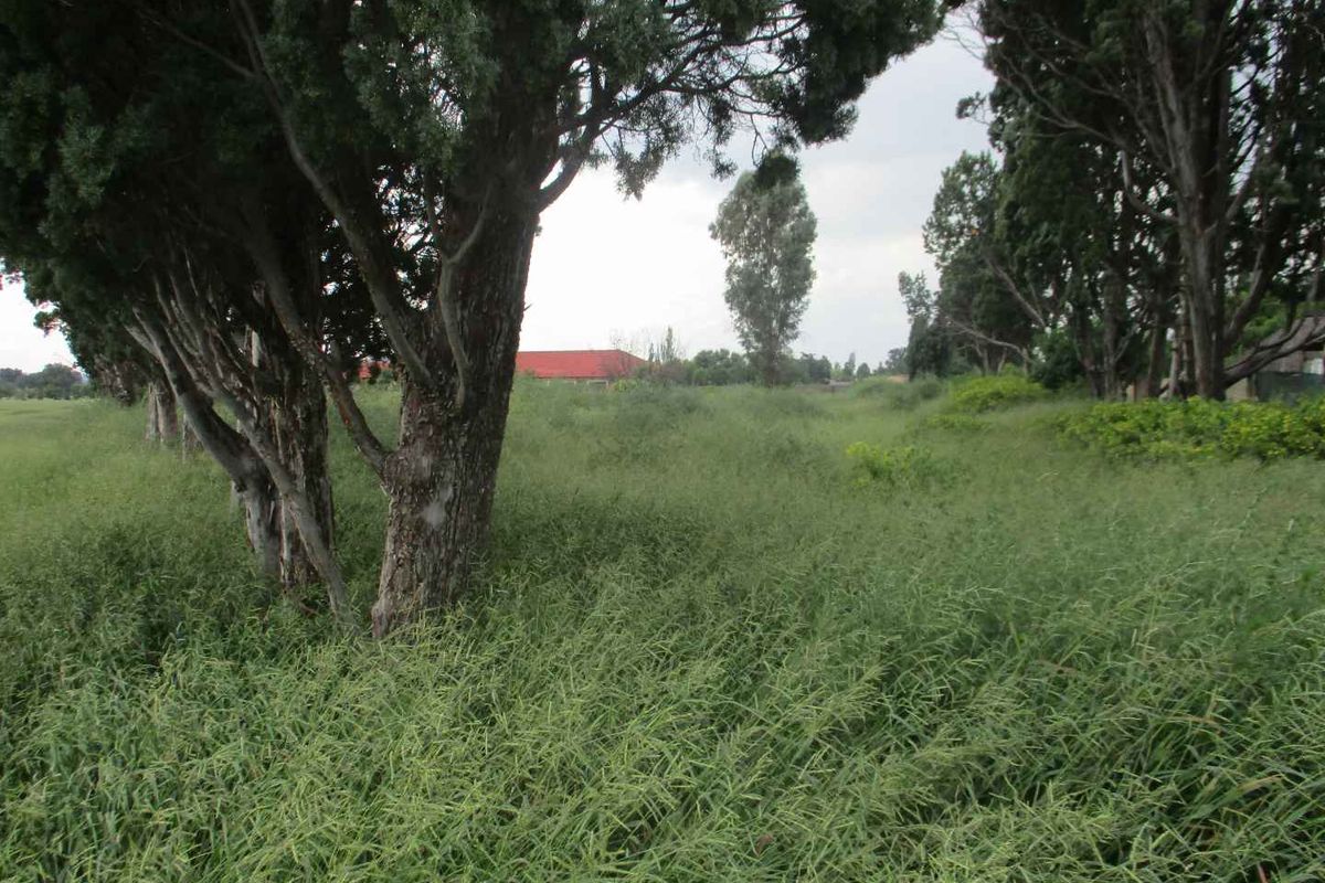 VACANT LAND IN HENLEY - Photo 4
