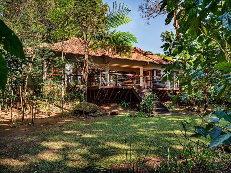 Serene Kloof Living in Longwood Estate - Photo 2