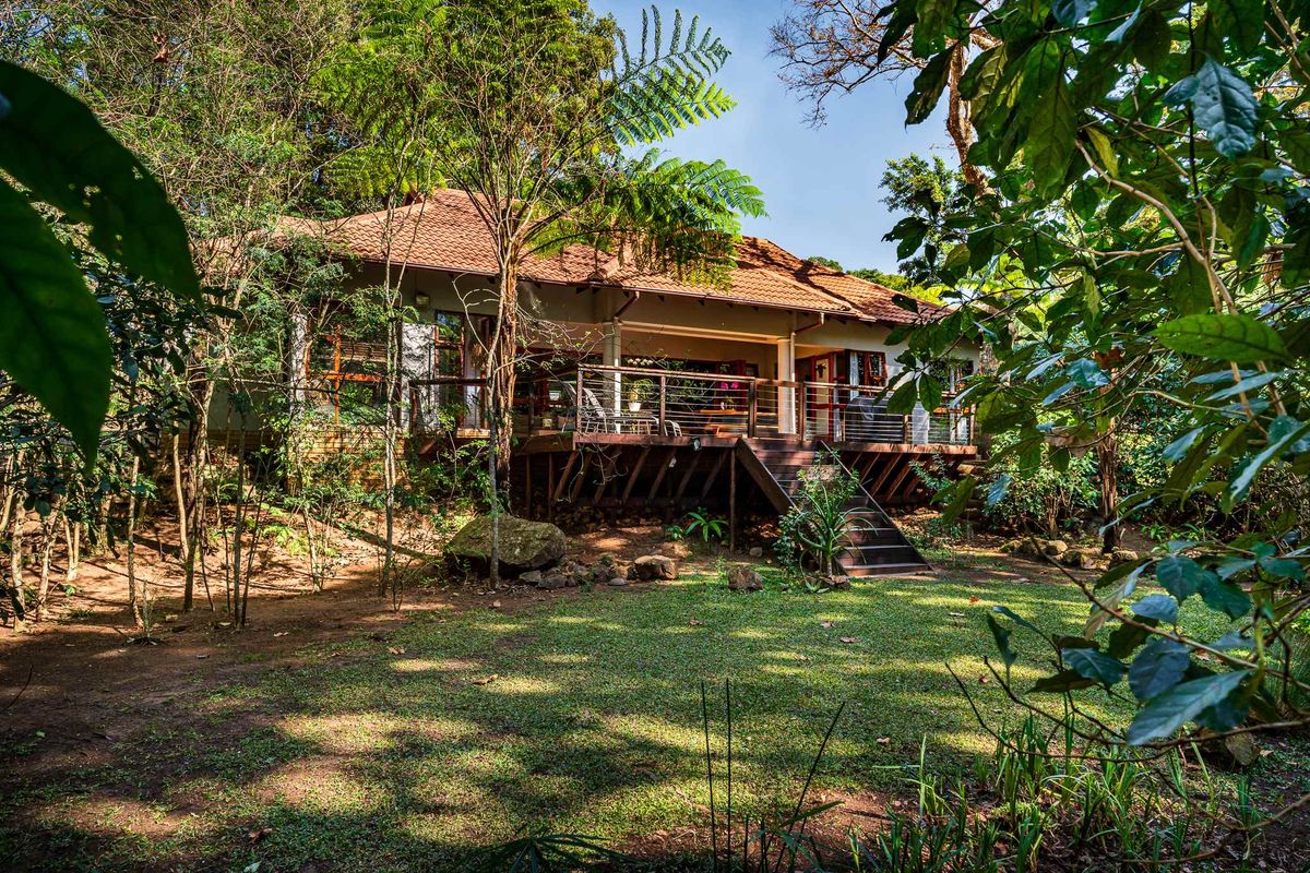 Serene Kloof Living in Longwood Estate - Photo 2