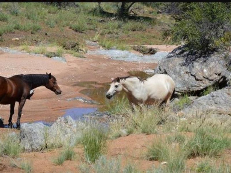 A scenic view of the natural farm landscape featuring rocky terrain and natural water features.