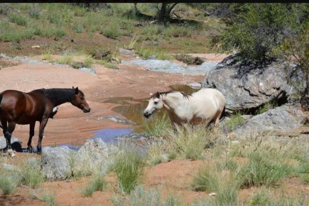 A scenic view of the natural farm landscape featuring rocky terrain and natural water features.