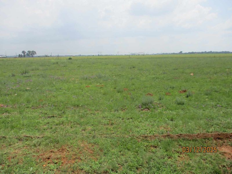 Enjoy the tranquility of Henley - Photo 3