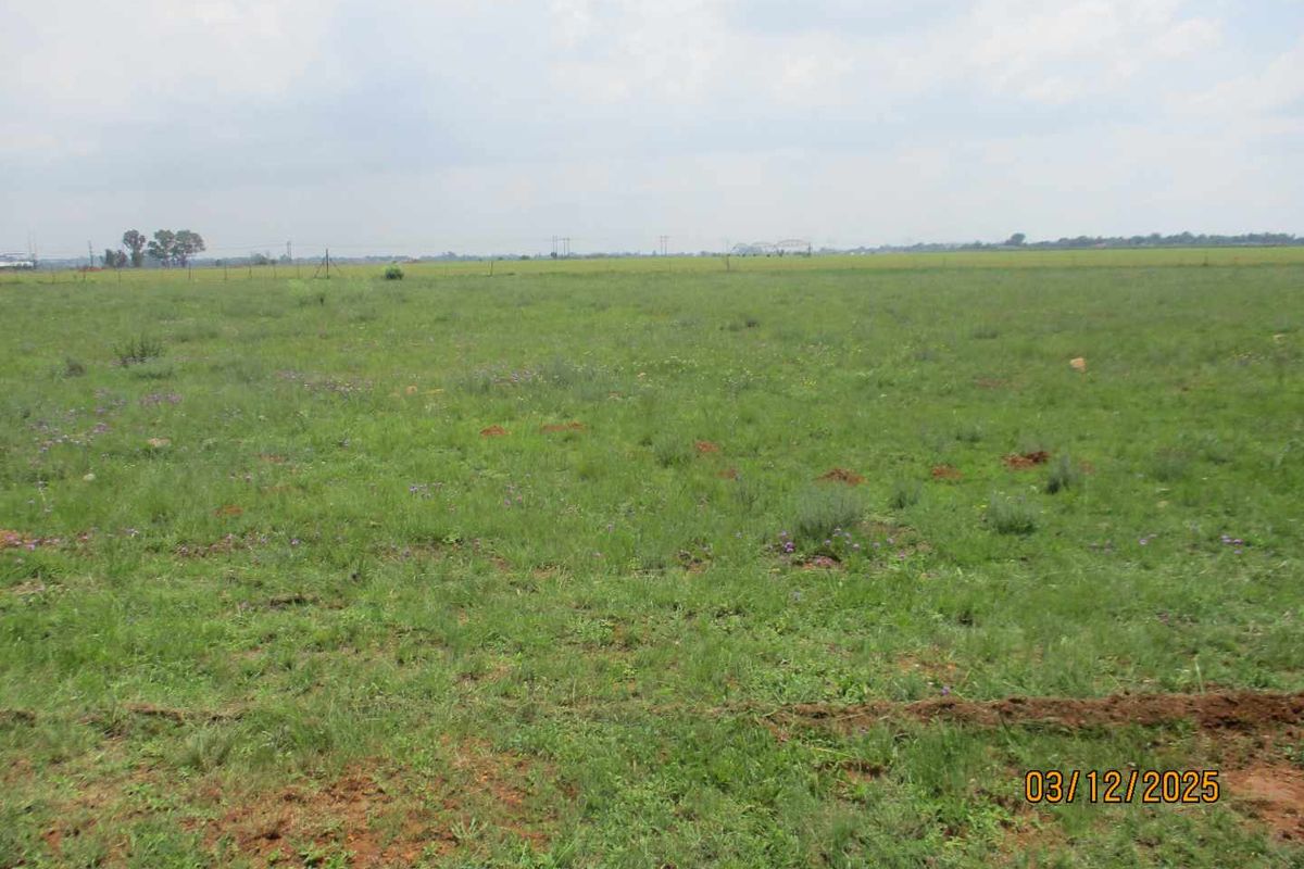 Enjoy the tranquility of Henley - Photo 3