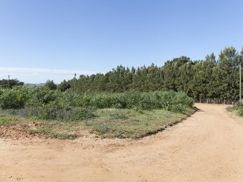 Large Plot in the best part of Chatsworth - R350 000 - Photo 5