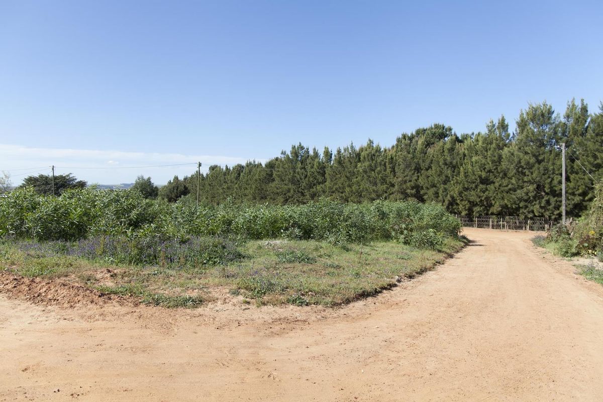 Large Plot in the best part of Chatsworth - R350 000 - Photo 5