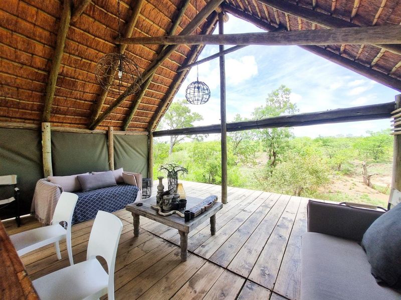 Exceptional Umbabat farm, Greater Kruger park. - Photo 10