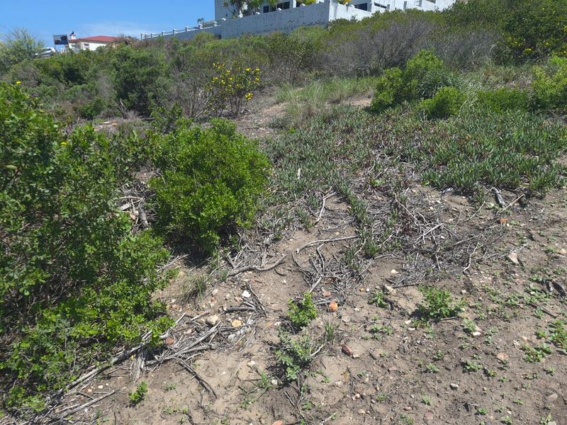 Spacious Vacant Stand in Prime Location – 973m2  : Island View, Mossel bay - Photo 7
