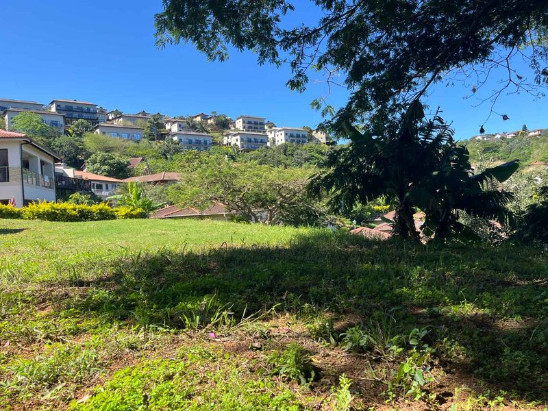 Rare Find Elevated Vacant Stand in Seaward Estate - Photo 7