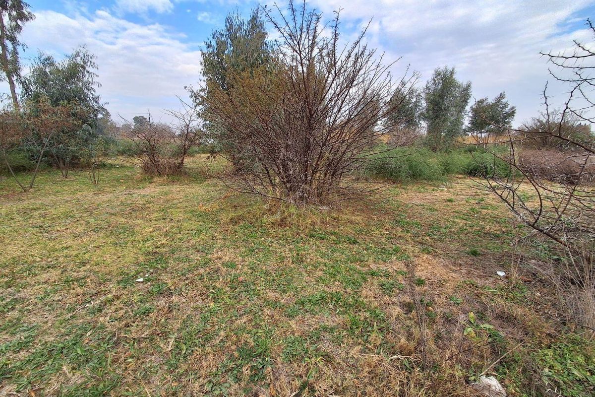 A view of the vacant residential land featuring natural vegetation and established trees across the plot.