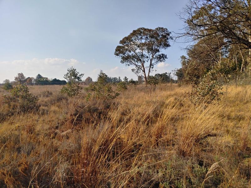Secure 2.25ha Corner Stand Vacant Land with Water - Photo 7