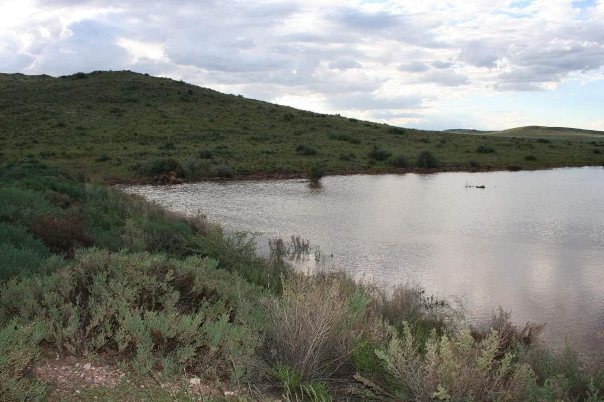 FARM not far from HELMERINGHAUSEN - Photo 5