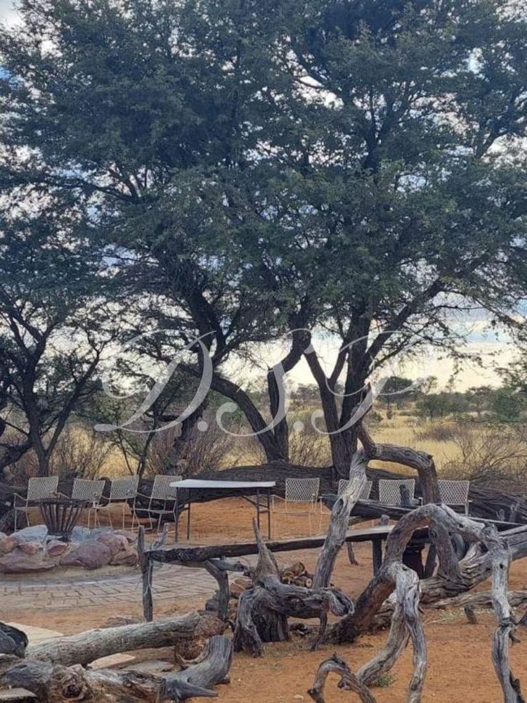 camp - firepit area