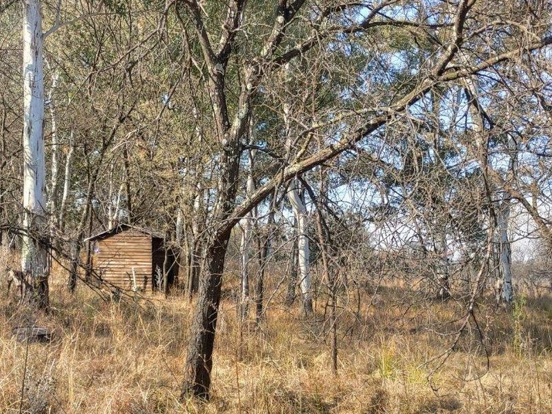 A view of the agricultural land featuring mature trees and a small wooden shed structure set within the natural landscape.