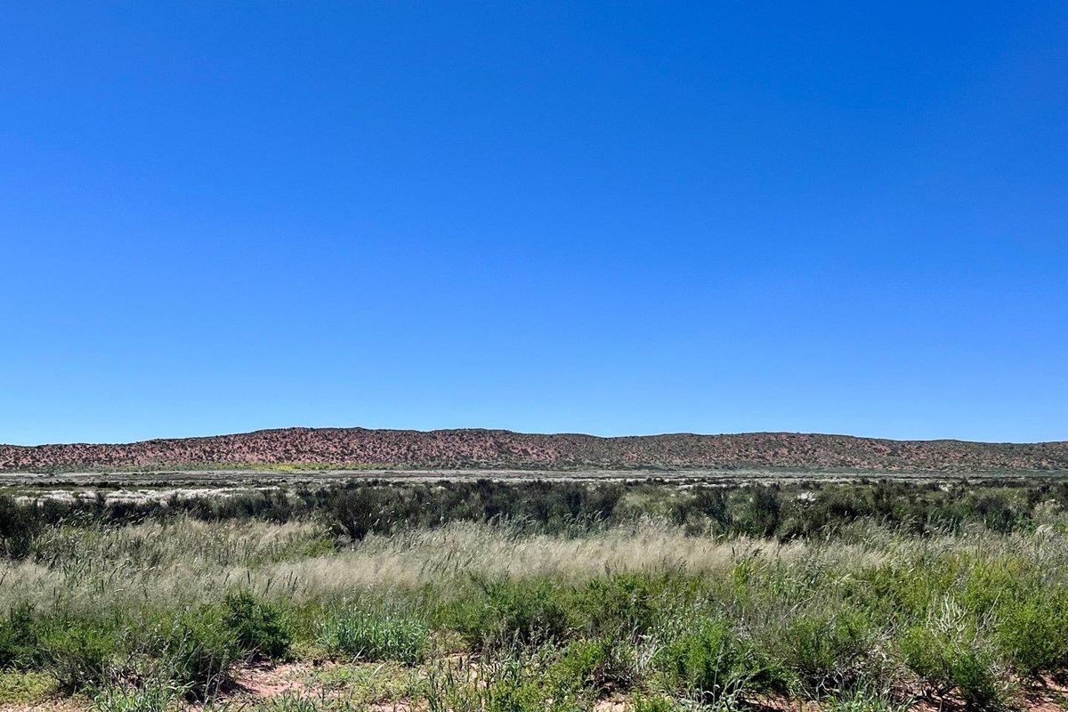 Farm close to Aroab - Photo 2