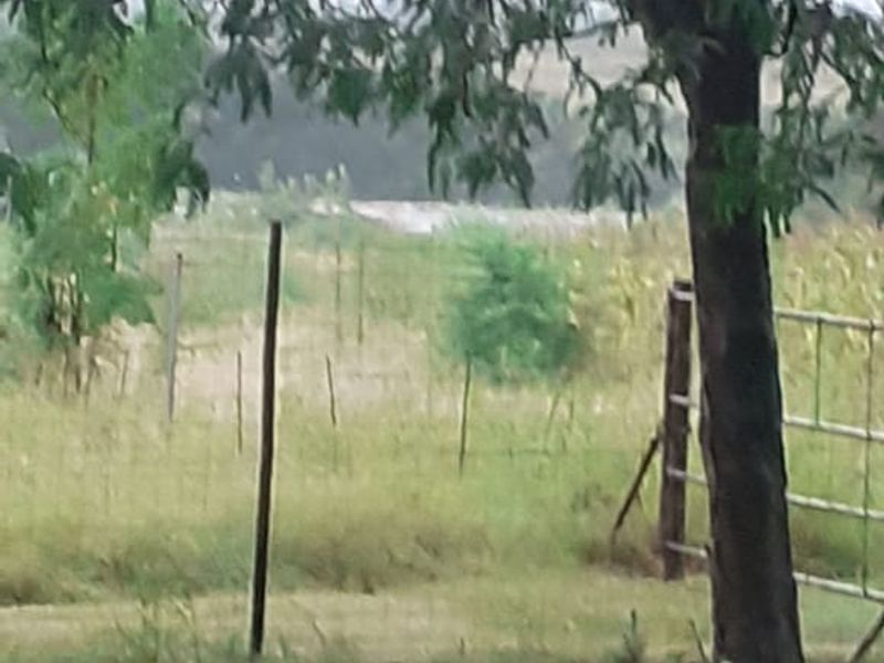 8.9 HECTARE SMALLHOLDING NEXT TO JUKSKEI RIVER AND CLOSE TO LANSERIA AIRPORT FOR SALE - Photo 6