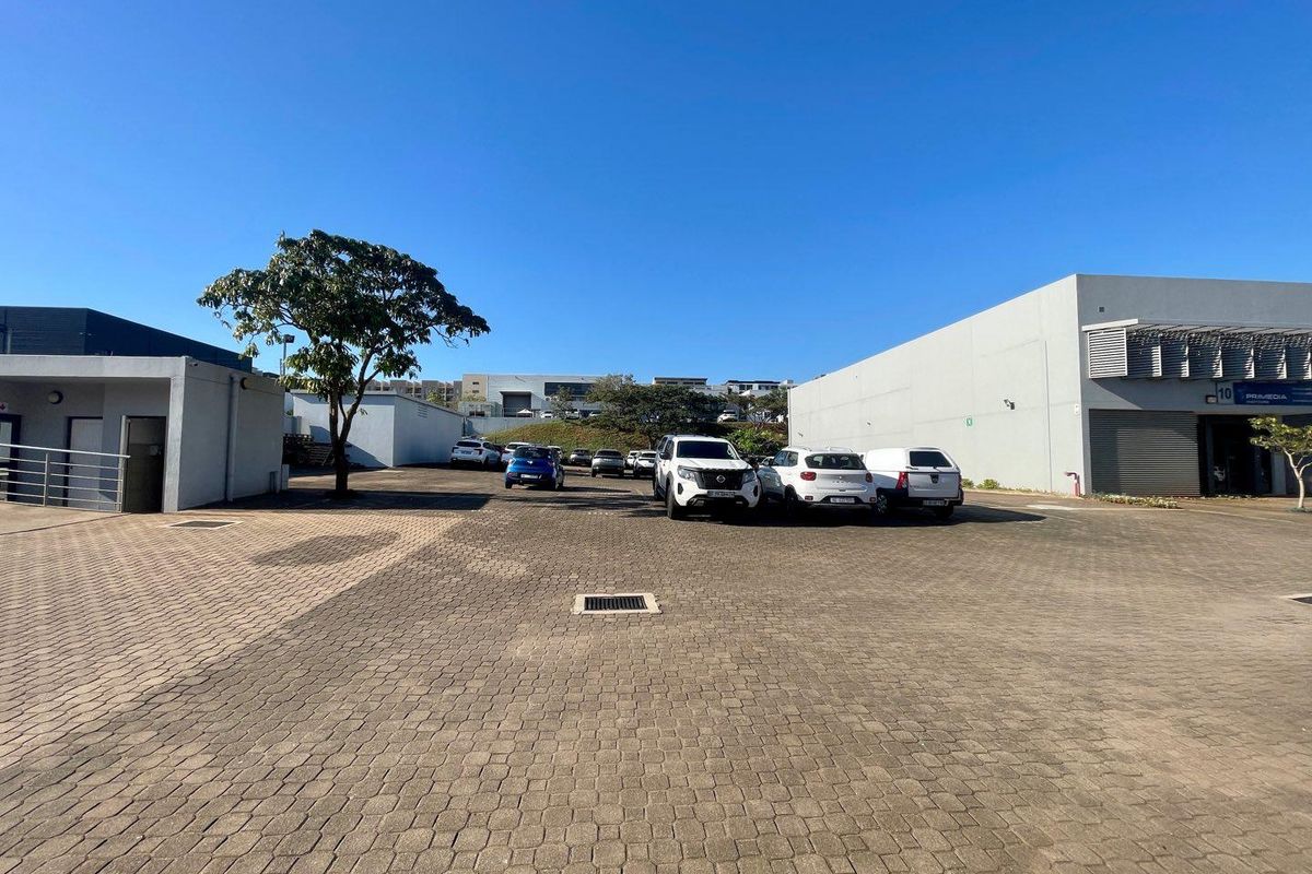 A paved parking area serving a mixed-use commercial property, featuring structured building facades and designated vehicle bays.