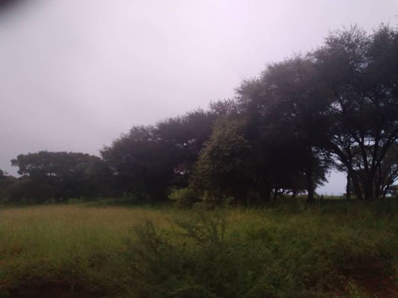 Khaudum Farm For Sale - Photo 2