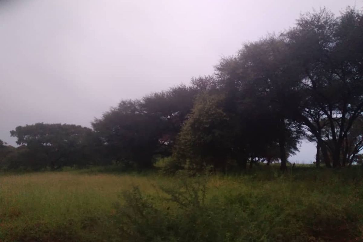 Khaudum Farm For Sale - Photo 2