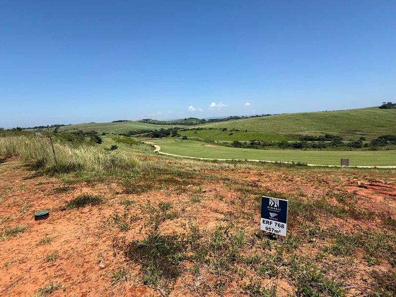 Dream Home Vision Tone - Photo 4