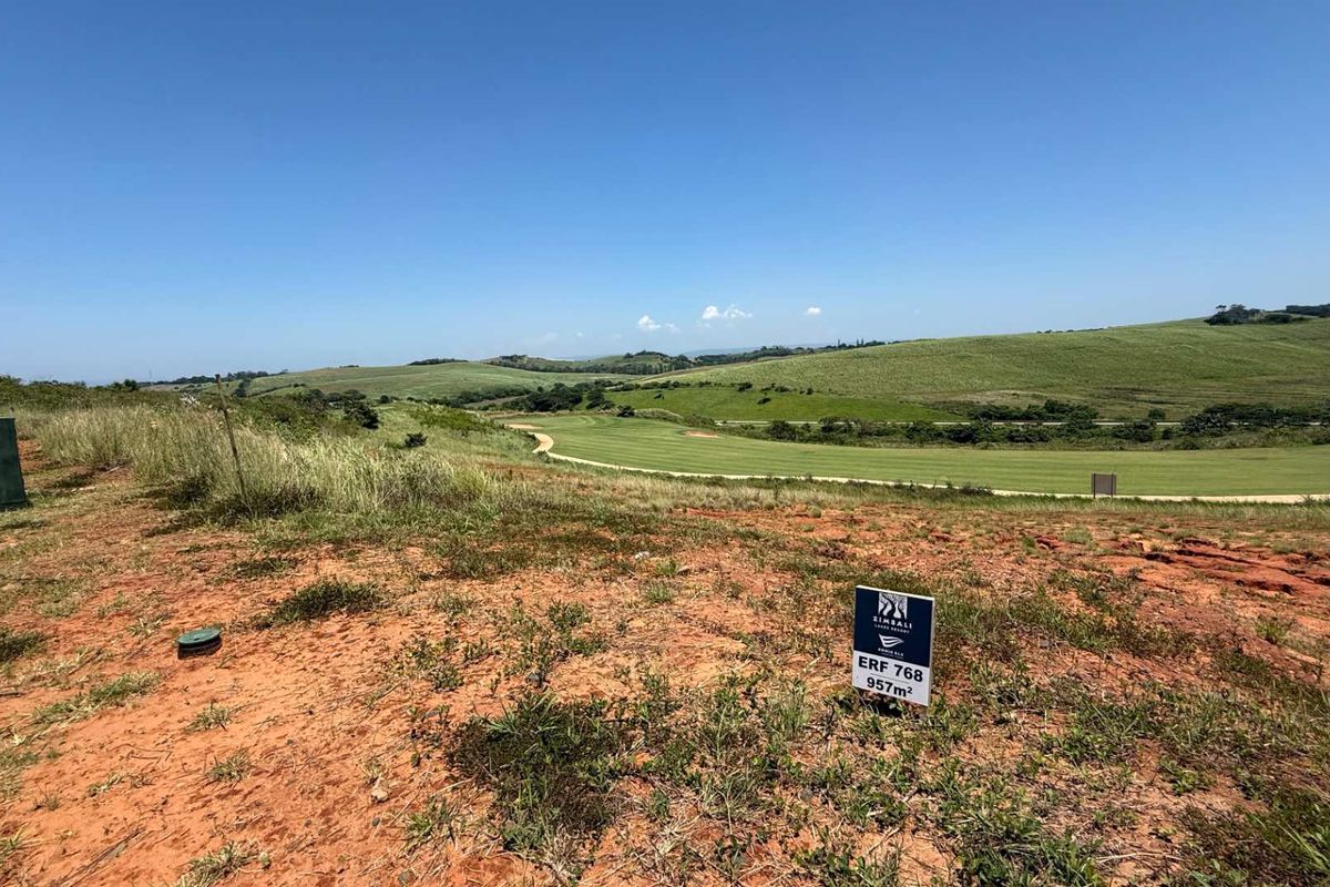 Dream Home Vision Tone - Photo 4