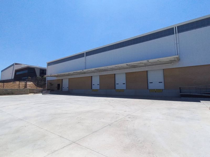 Modern industrial warehouse exterior featuring a spacious concrete loading yard, multiple roller shutter doors, and a protective canopy for efficient logistics operations.