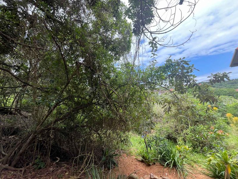 An Exclusive Opportunity to Build a Bespoke Forever Home in Zimbali With Unparalleled, Sweeping Views - Photo 6