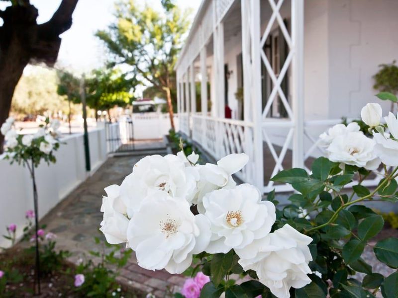 Business Opportunity Not To Be Missed! - Photo 2