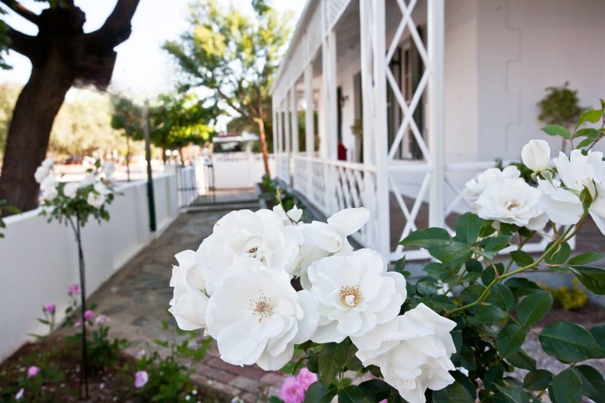 Business Opportunity Not To Be Missed! - Photo 2