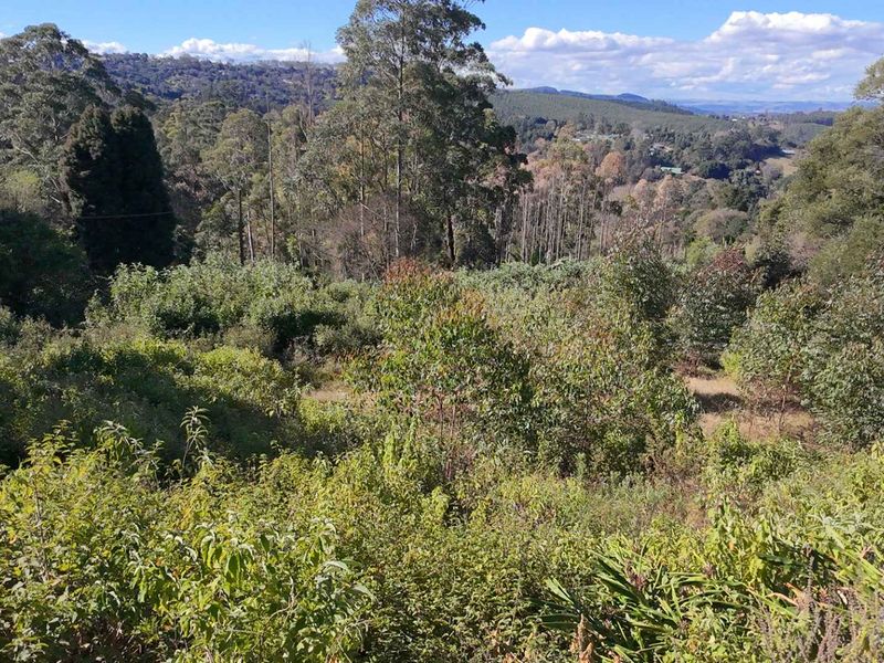 A scenic view of the natural landscape featuring dense native vegetation and rolling hills on this vacant residential property.